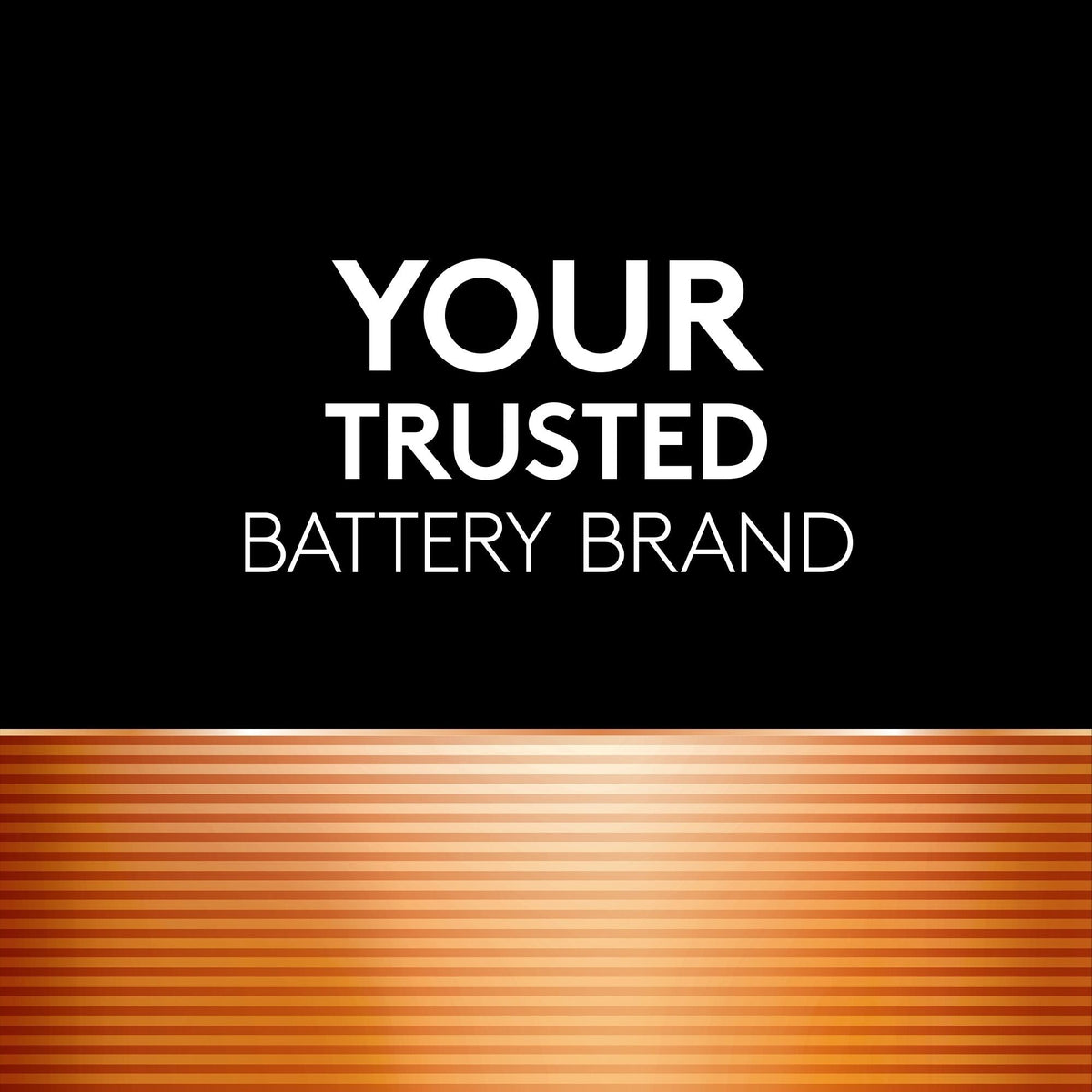 Coppertop AAA Alkaline Batteries, All Purpose, 8-pk R7X0 - product image 3