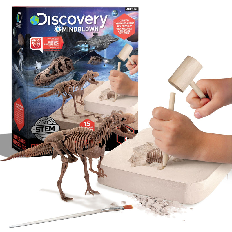 Dinosaur Skeleton T-Rex 3D Puzzle Excavation Kit/Educational Toy for Ages 6+ R8I8
